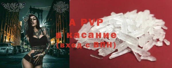 PSILOCYBIN Белоозёрский