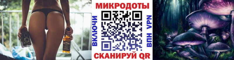 Галлюциногенные грибы Psilocybine cubensis  Яхрома 